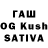 Галлюциногенные грибы Psilocybine cubensis Hakdog