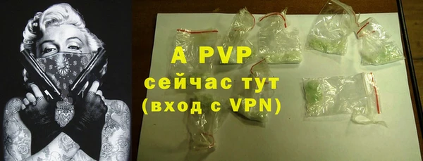 прущий лед Бородино
