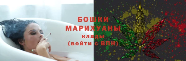 шишки Богородицк