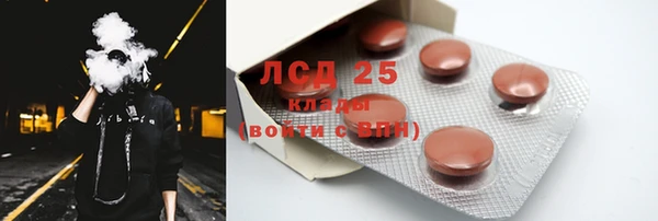 прущий лед Бородино