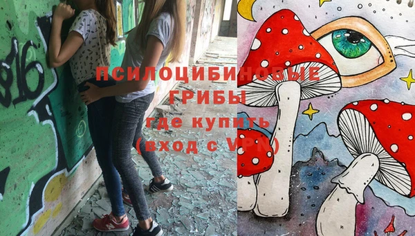 прущий лед Бородино