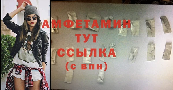 шишки Богородицк