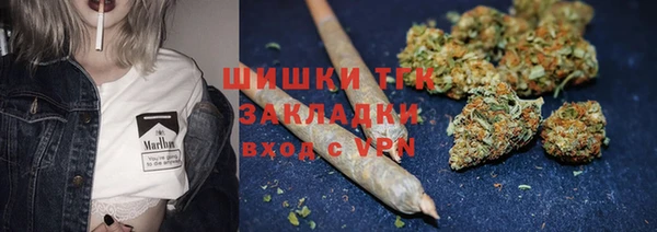 таблы Богданович