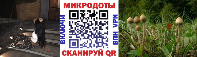 Псилоцибиновые грибы Magic Shrooms  Кингисепп 